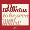 REMAINS / リメインズ / DIDDY WAH DIDDY/ONCE BEFORE