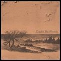 CRIPPLED BLACK PHOENIX / クリップルド・ブラック・フェニックス / SHARK & STORMS