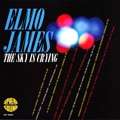 ELMORE JAMES / エルモア・ジェイムス / SKY IS CRYING