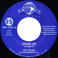 LEE FIELDS AND SUGARMAN & CO. / LEE FIELDS & SUGARMAN & CO. / STAND UP