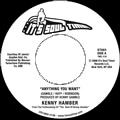 KENNY HAMBER / ケニー・ハンバー / ANYTHING YOU WANT + NEVER FOUND A GIRL