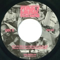TYRONE ASHLEY'S FUNKY MUSIC MACHINE / タイロン・アシュレイズ・ファンキー・ミュージック・マシーン / JUST A LITTLE WHILE LONGER (SOMETIMES WE F