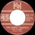 SWEET VANDALS / スウィート・ヴァンダルス / DO IT RIGHT + WHAT'S GOING ON