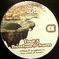 TREVELYAN & ICARUS / FRUIT X/LION DUB