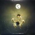 ANDY VAZ / LOST & RECOVERED DATA