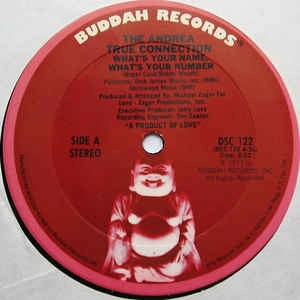 ANDREA TRUE CONNECTION / アンドレア・トゥルー・コネクション / WHAT'S YOUR NAME WHAT'S YOUR NUMBER