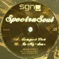 SPECTRA SOUL / TEMPEST DUB/IN MY ARMS