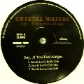 CRYSTAL WATERS / クリスタル・ウォーターズ / SAY...IF YOU FEEL ALRIGHT