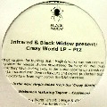 J MAJIK & WICKAMAN / CASSANOVA/C-STYLE(PROMO)