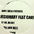 VISIONARY FEAT.CAMP SOULJAH / LOVE AND HATE/TURN BACK(PROMO)