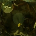 BLACK DEVIL DISCO CLUB / ブラック・デヴィル・ディスコ・クラブ / BLACK SUNSHINE