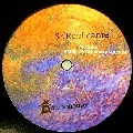 SR. REPLICANTE / MODULOS