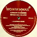 GORDON CHAMBERS / ゴードン・チェンバース / NEVER FALL IN LOVE (DJ SPINNA REMIX)