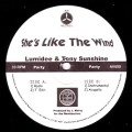 LUMIDEE & TONY SUNSHINE / SHE'S LIKE THE WIND