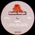 2PAC / トゥーパック / CHANGES (REMIX JUNGLE)