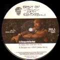 2PAC / トゥーパック / BEST OF 2PAC REMIXES VOL.2
