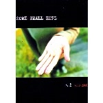 SOME SMALL HOPE / サムスモールホープ / 人よ（DVDR）