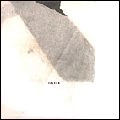 STAFRAENN HAKON / スタフライン・ハウコン / LARUS SIGURDSSON
