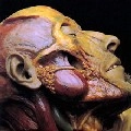 LYMPHATIC PHLEGM / SHOW OFF CADAVERS