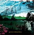 Arise in Stability / 2nd DEMO