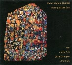 PETER EPSTEIN / ピーター・エプスタイン / STARING AT THE SUN