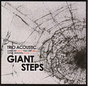 TRIO ACOUSTIC / トリオ・アコースティック / GIANT STEPS