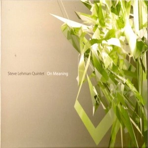 STEVE LEHMAN / スティーヴ・リーマン / ON MEANING