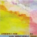 DJ YOGURT / DJヨーグルト / AMBIENT FOR HARD WORKIN'PEOPLE