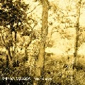 SHINYA TAKATORI / ＮＡＴＵＲＡＬ　ＵＮＩＴＹ