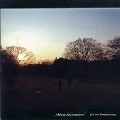 AKIRA KOSEMURA / 小瀬村晶 / IT'S ON EVERYTHING