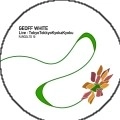 GEOFF WHITE / LIVE:TOKYO TOKKYO KYOKA KYOKU