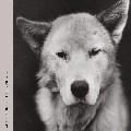SLEEPARCHIVE & ANTTI RANNISTO / UNTITLED