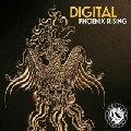 DIGITAL / PHOENIX RISING