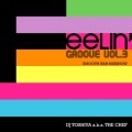 DJ TOSHIYA / ＦＥＥＬＩＮ’ＧＲＯＯＶＥ　ＶＯＬ．３