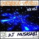 DJ MUSASABI / ＰＥＲＦＥＣＴ　ＶＩＳＩＯＮ　ＶＯＬ．１