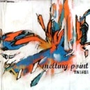 TAISEI / ＭＥＬＴＩＮＧ　ＰＯＩＮＴ