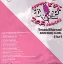 DJ JAZZY-K / THOUSANDS OF PICTURES VOL.1 NATURAL HOLIDA