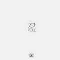 POLL / ポール / POLL (LP+7')