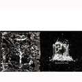 HEAVEN IN HER ARMS / EROSION OF THE BLACK SPECKLE
