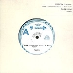 VASHTI BUNYAN / ヴァシュティ・バニヤン / SOME THINGS JUST STICK IN YOUR MIND/I WANT