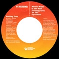 NICOLE WILLIS & THE SOUL INVESTIGATORS / ニコル・ウィリス& ソウル・インヴェスティゲイターズ / FEELING FREE + MY 4 LEAF CLOVER
