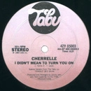 CHERRELLE / シェレール / I DIDN'T MEAN TO TURN YOU ON