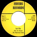 POLYVERSAL SOULS / ポリヴァーサル・ソウルズ / SAD NILE + MUSWELLHILL RUN