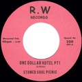 STONED SOUL PICNIC / ストーンド・ソウル・ピクニック / CHEEBA'S COUCH + CHICKEN LICKIN'- LIVE