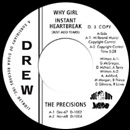 PRECISIONS / プレジションズ / WHY GIRL (D.J.COPY)