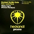 HOOKED VS MJ COLE FEAT. LAURA VANE / WATERTIGHT