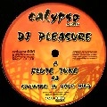 DJ PLEASURE / FLUTE TUNE/SPLINTERS IN YOUR MIND