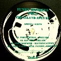 V.A.(VORTECHTRAL,IAN VOID,JOHN WARWICK...) / FUNKY MONKEYS VOL.5
