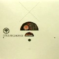 SUNCHASE / STOP KILLING/PASSWORD