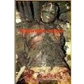 DISGORGED FOETUS / GORE VISIONS